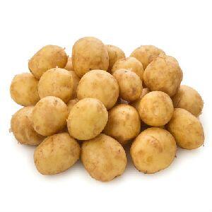  - Daily Needs 247 Online Shopping Supermarket India Daily Need