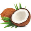  - Daily Needs 247 Online Shopping Supermarket India Daily Need