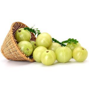 - Daily Needs 247 Online Shopping Supermarket India Daily Need