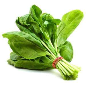  - Daily Needs 247 Online Shopping Supermarket India Daily Need
