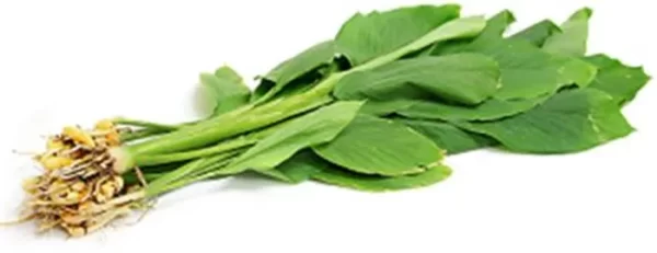  - Daily Needs 247 Online Shopping Supermarket India Daily Need