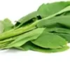  - Daily Needs 247 Online Shopping Supermarket India Daily Need