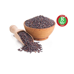  - Daily Needs Online Shopping Supermarket Grocery Shop Store