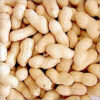  - Daily Needs 247 Online Shopping Supermarket India Daily Need