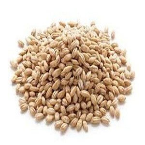 Barley 100Gm