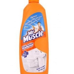 Mr. Muscle Toilet & Bathroom Cleaner – Triple Action, 450 ml