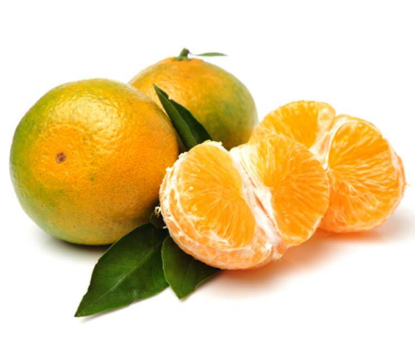  - Daily Needs 247 Online Shopping Supermarket India Daily Need