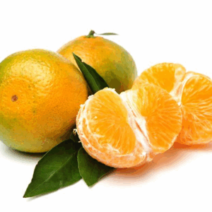  - Daily Needs 247 Online Shopping Supermarket India Daily Need