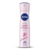  - Daily Needs 247 Online Shopping Supermarket India Daily Need