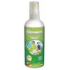  - Daily Needs 247 Online Shopping Supermarket India Daily Need