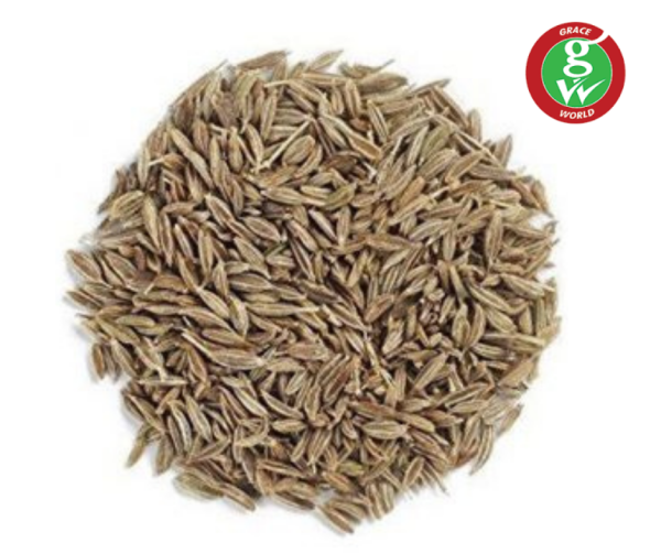  - Daily Needs 247 Online Shopping Supermarket India Daily Need