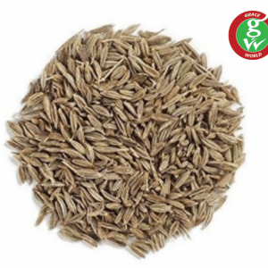  - Daily Needs 247 Online Shopping Supermarket India Daily Need