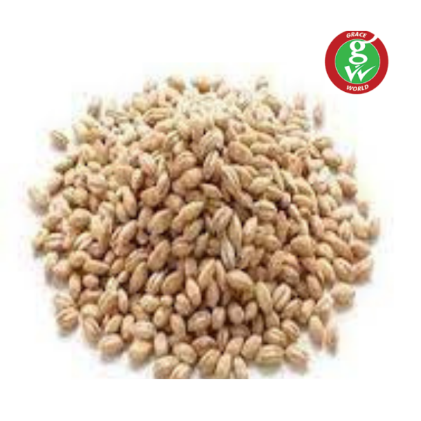  - Daily Needs 247 Online Shopping Supermarket India Daily Need