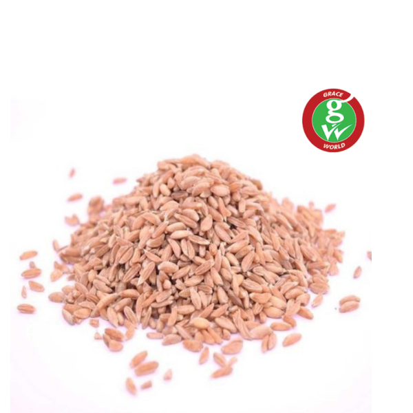  - Daily Needs 247 Online Shopping Supermarket India Daily Need