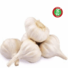  - Daily Needs 247 Online Shopping Supermarket India Daily Need