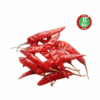  - Daily Needs 247 Online Shopping Supermarket India Daily Need