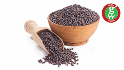  - Daily Needs 247 Online Shopping Supermarket India Daily Need
