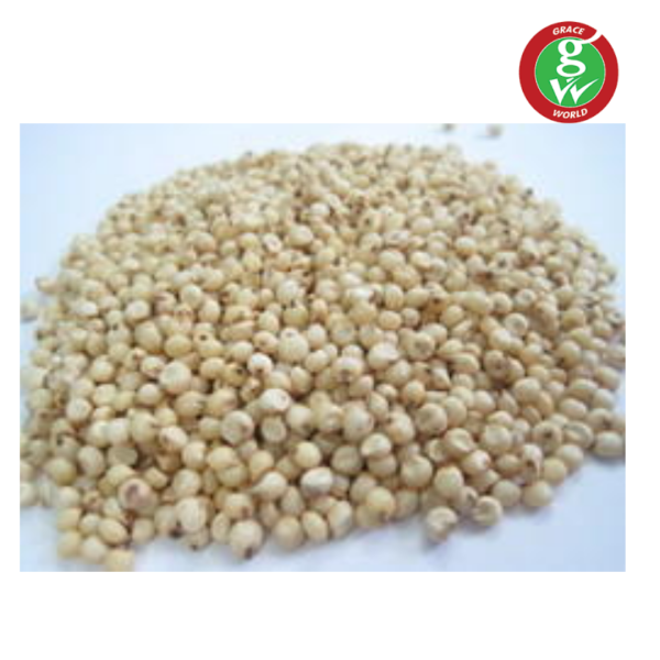  - Daily Needs 247 Online Shopping Supermarket India Daily Need