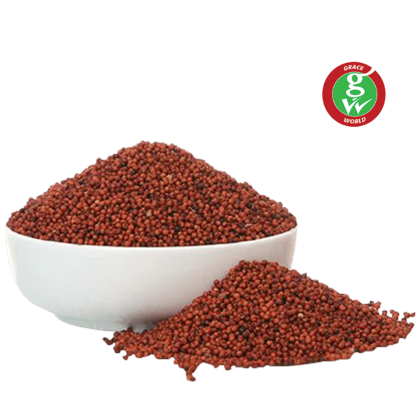  - Daily Needs 247 Online Shopping Supermarket India Daily Need