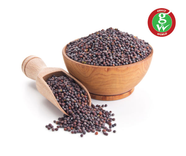  - Daily Needs 247 Online Shopping Supermarket India Daily Need