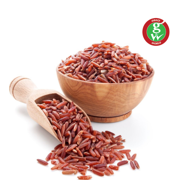 - Daily Needs 247 Online Shopping Supermarket India Daily Need