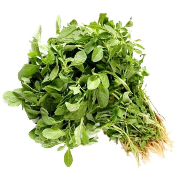  - Daily Needs 247 Online Shopping Supermarket India Daily Need