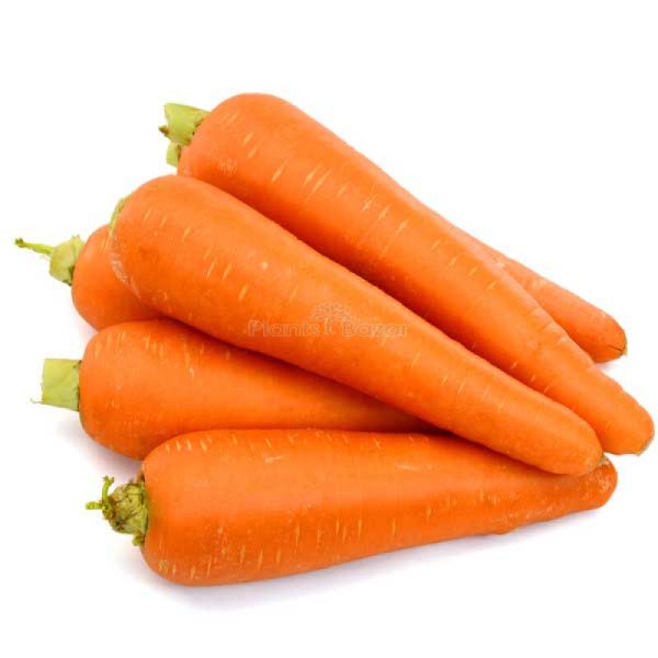 - Daily Needs 247 Online Shopping Supermarket India Daily Need