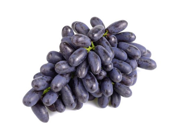 - Daily Needs 247 Online Shopping Supermarket India Daily Need