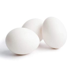 Egg