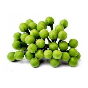  - Daily Needs 247 Online Shopping Supermarket India Daily Need