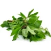  - Daily Needs 247 Online Shopping Supermarket India Daily Need