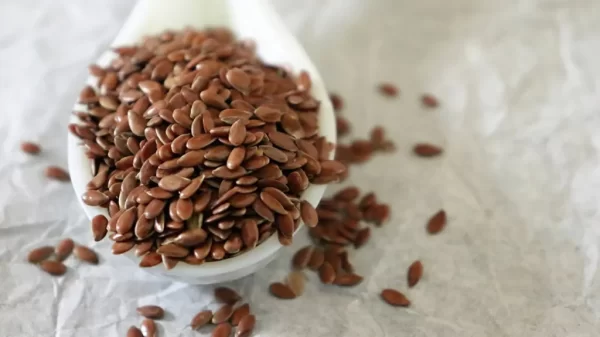  - Daily Needs 247 Online Shopping Supermarket India Daily Need