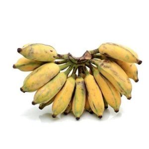  - Daily Needs 247 Online Shopping Supermarket India Daily Need