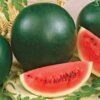  - Daily Needs 247 Online Shopping Supermarket India Daily Need