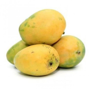  - Daily Needs 247 Online Shopping Supermarket India Daily Need