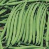 veg butter beans - Daily Needs 247 Online Shopping Supermarket India Daily Need