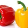 VEG COLOUR CAPSICUM - Daily Needs 247 Online Shopping Supermarket India Daily Need
