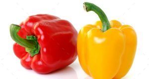 VEG COLOUR CAPSICUM