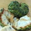  - Daily Needs 247 Online Shopping Supermarket India Daily Need