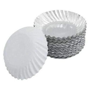 PAPER PLATE NO-12
