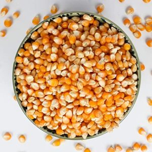  - Daily Needs 247 Online Shopping Supermarket India Daily Need