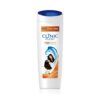 - Daily Needs 247 Online Shopping Supermarket India Daily Need