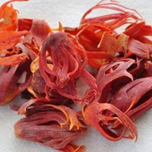  - Daily Needs 247 Online Shopping Supermarket India Daily Need