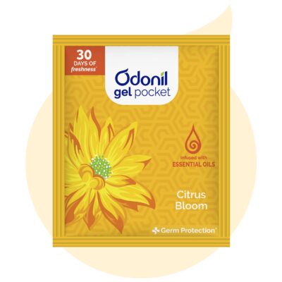  - Daily Needs 247 Online Shopping Supermarket India Daily Need