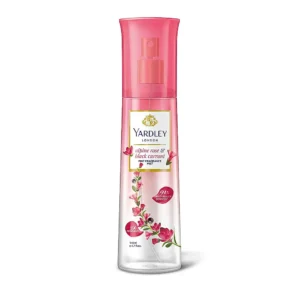  - Daily Needs 247 Online Shopping Supermarket India Daily Need